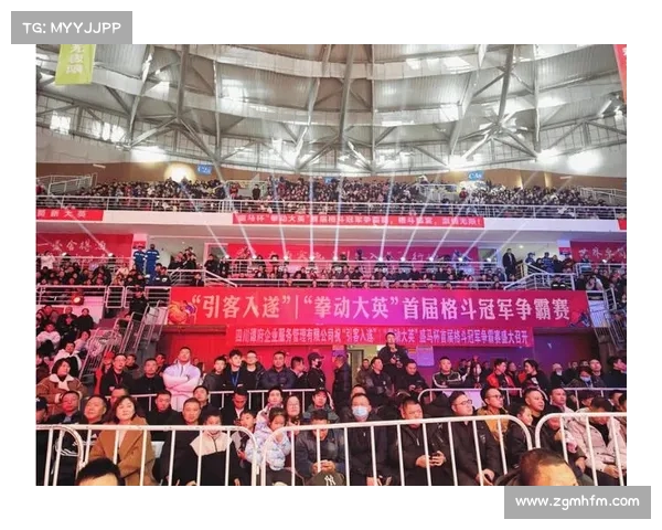 拳击赛事排名_在2019年的拳击舞台上我们见证了无数精彩赛事全球拳手激情对决